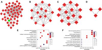 Exploring the pathogenesis of diabetic kidney disease by microarray data analysis